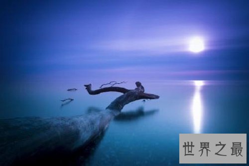 【图】梦见本人怀孕，兴许是你的大脑厌倦了这繁杂的