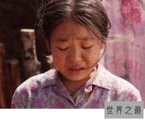 【图】暖春——我想有个家，让我们给小花一个家