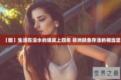 【图】生活在没水的墙皮上四年 非洲肺鱼存活的相当坚