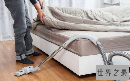 【图】几种正确除螨的方法使得家人身心都瘦弱