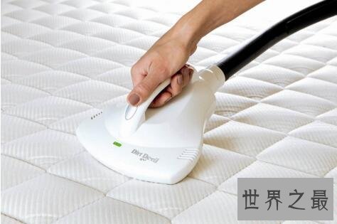 【图】几种正确除螨的方法使得家人身心都瘦弱