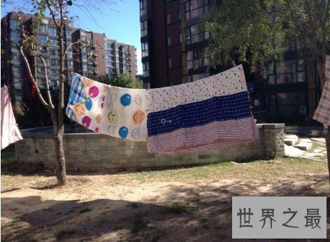 【图】几种正确除螨的方法使得家人身心都瘦弱