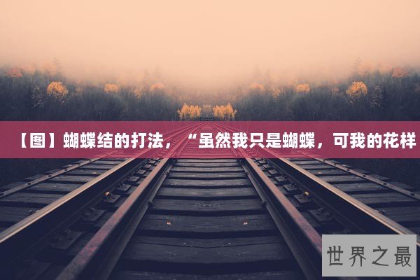 【图】蝴蝶结的打法，“虽然我只是蝴蝶，可我的花样