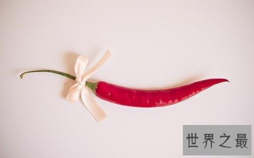 【图】蝴蝶结的打法，“只管我只是蝴蝶，可我的把戏