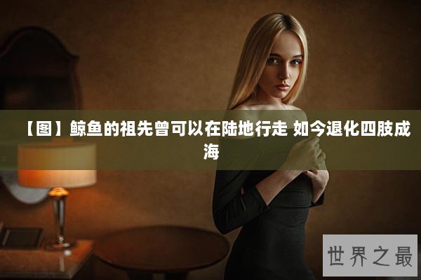 【图】鲸鱼的祖先曾可以在陆地行走 如今退化四肢成海