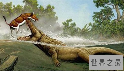 【图】鲸鱼的先人曾可能在海洋行走 现在退步四肢成海