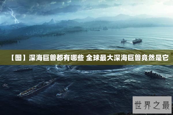 【图】深海巨兽都有哪些 全球最大深海巨兽竟然是它