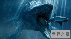 【图】深海巨兽都有哪些 全球最大深海巨兽竟然是它