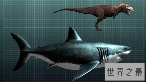 【图】深海巨兽都有哪些 寰球最大深海巨兽竟然是它