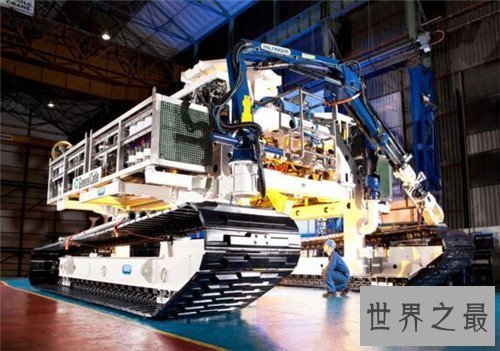 【图】深海巨兽都有哪些 寰球最大深海巨兽竟然是它