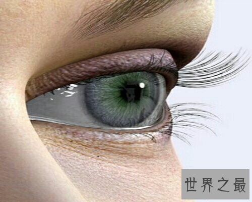 【图】麦粒肿就是咱们俗称的针眼，看一下麦粒肿图片