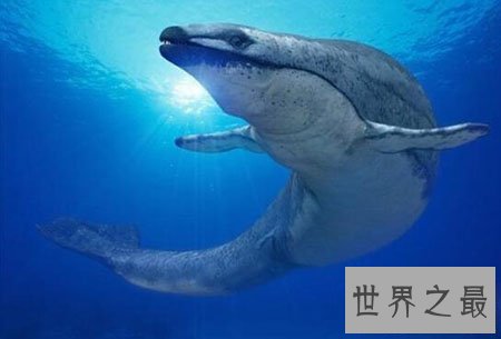 【图】龙王鲸到底是什么物种 真的是龙的近亲吗