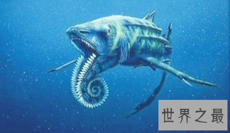 【图】龙王鲸到底是什么物种 真的是龙的近亲吗