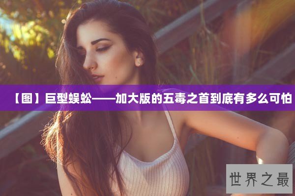 【图】巨型蜈蚣——加大版的五毒之首到底有多么可怕