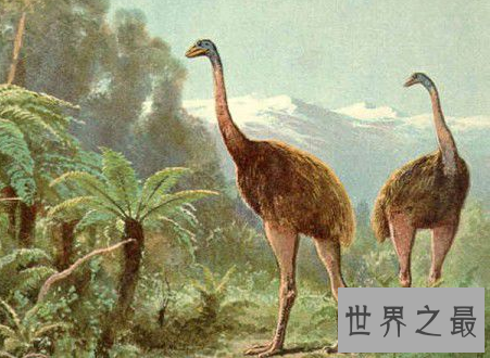 【图】已灭绝的动物消失在历史中却可能被复活