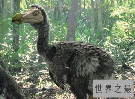 【图】已灭绝的动物消失在历史中却可能被复活