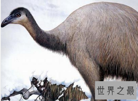 【图】已灭绝的动物消失在历史中却可能被复活