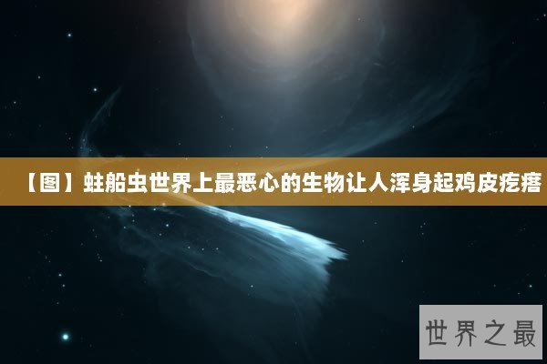【图】蛀船虫世界上最恶心的生物让人浑身起鸡皮疙瘩