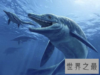 【图】利兹鱼 史上最大的鱼类 竟然长达26米！