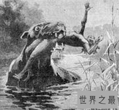 【图】本耶普 澳大利亚最奥秘的食人神兽！