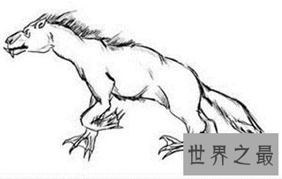 【图】本耶普 澳大利亚最奥秘的食人神兽！