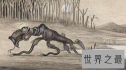 【图】本耶普 澳大利亚最神秘的食人神兽！