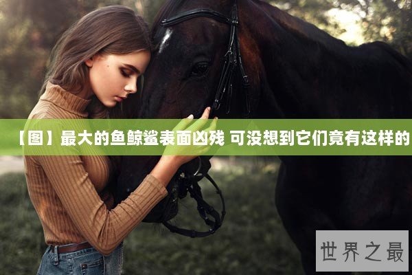 【图】最大的鱼鲸鲨表面凶残 可没想到它们竟有这样的