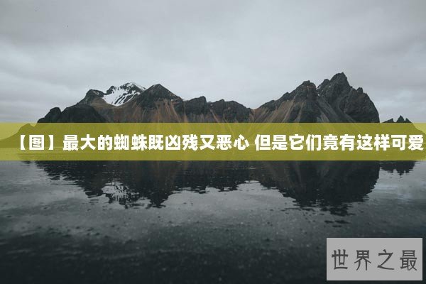【图】最大的蜘蛛既凶残又恶心 但是它们竟有这样可爱