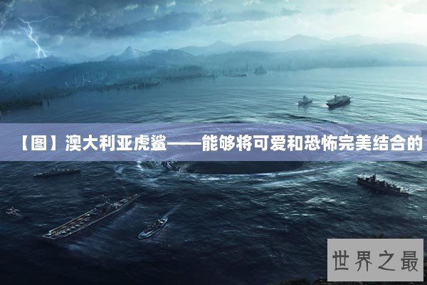 【图】澳大利亚虎鲨——能够将可爱和恐怖完美结合的