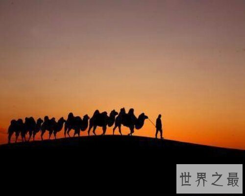 【图】任重道远是咱们初中学的一句诗，让咱们来理解