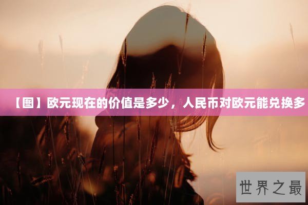【图】欧元现在的价值是多少，人民币对欧元能兑换多