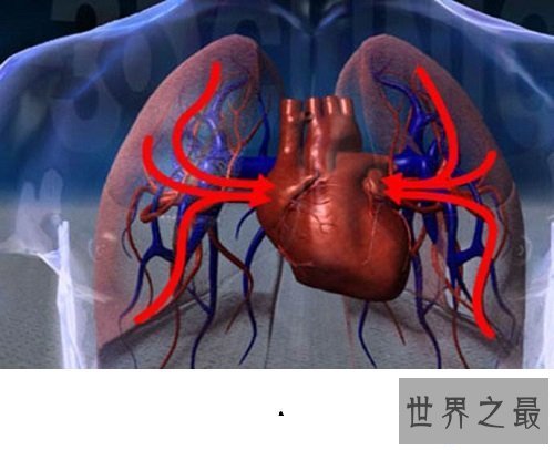 【图】肺心病——了解肺源性心脏病的点点滴滴