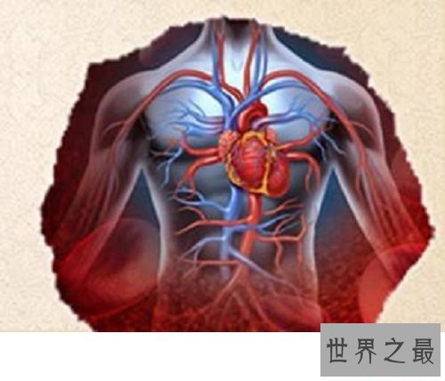 【图】肺心病——了解肺源性心脏病的点点滴滴