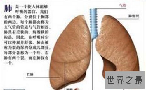 【图】肺心病——了解肺源性心脏病的点点滴滴