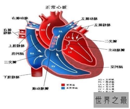 【图】肺心病——了解肺源性心脏病的点点滴滴