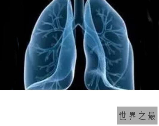 【图】肺纤维化——它会让你的生存不再有色调