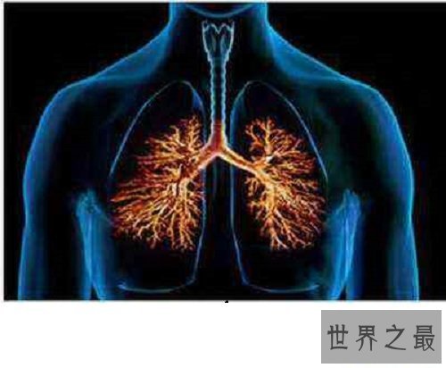 【图】肺纤维化——它会让你的生存不再有色调