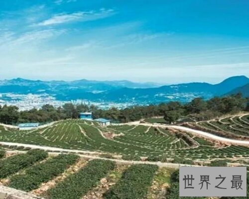 【图】竭泽而渔是一个出自吕氏春秋的成语，让咱们来