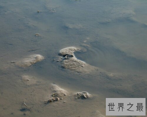 【图】竭泽而渔是一个出自吕氏春秋的成语，让咱们来