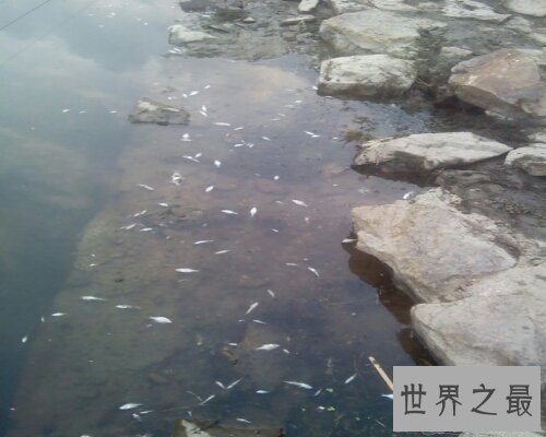 【图】竭泽而渔是一个出自吕氏春秋的成语，让咱们来