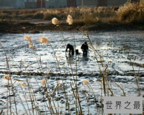 【图】竭泽而渔是一个出自吕氏春秋的成语，让咱们来