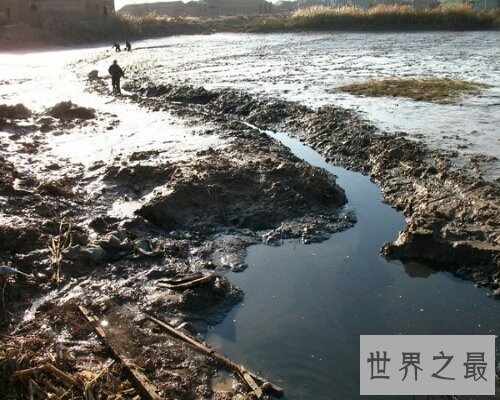 【图】竭泽而渔是一个出自吕氏春秋的成语，让咱们来