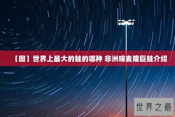 【图】世界上最大的蛙的哪种 非洲喀麦隆巨蛙介绍