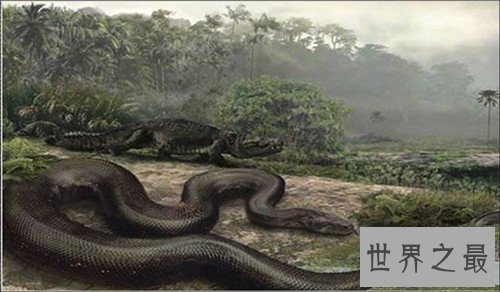 【图】中国最大的蛇是哪种 曾有老人发现长55米的巨蛇