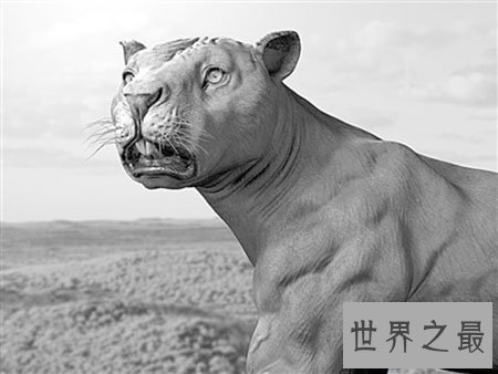 【图】灭绝动物都有哪些 这些你都知道吗