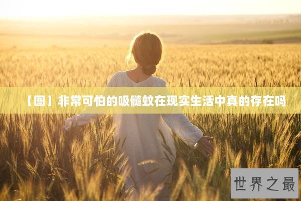 【图】非常可怕的吸髓蚊在现实生活中真的存在吗