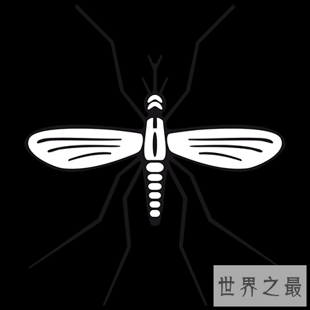 【图】十分可怕的吸髓蚊在事实生存中真的存在吗