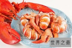 【图】纽约长岛惊现百岁大龙虾 大龙虾怎么做才好吃