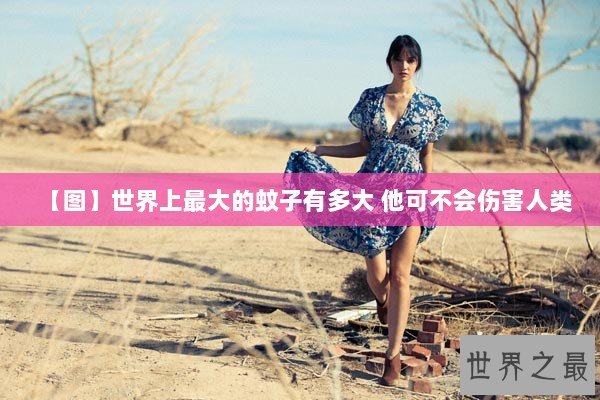 【图】世界上最大的蚊子有多大 他可不会伤害人类 【图】世界上最大的蚊子有多大 他可不会伤害人类