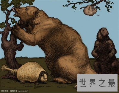 【图】灭绝动物这么多 当前不要轻易捕杀动物了